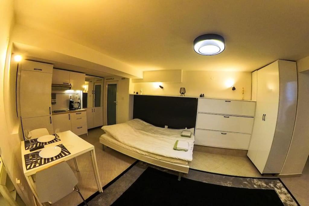 Studio With Courtyard Just Steps Away Vitosha Str София Экстерьер фото